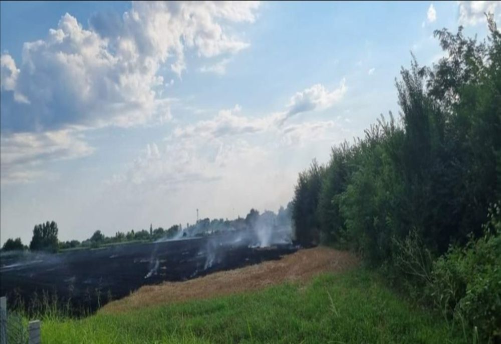 Localnicii dintr-o comună din Prahova, obligați să transforme gunoiul în compost