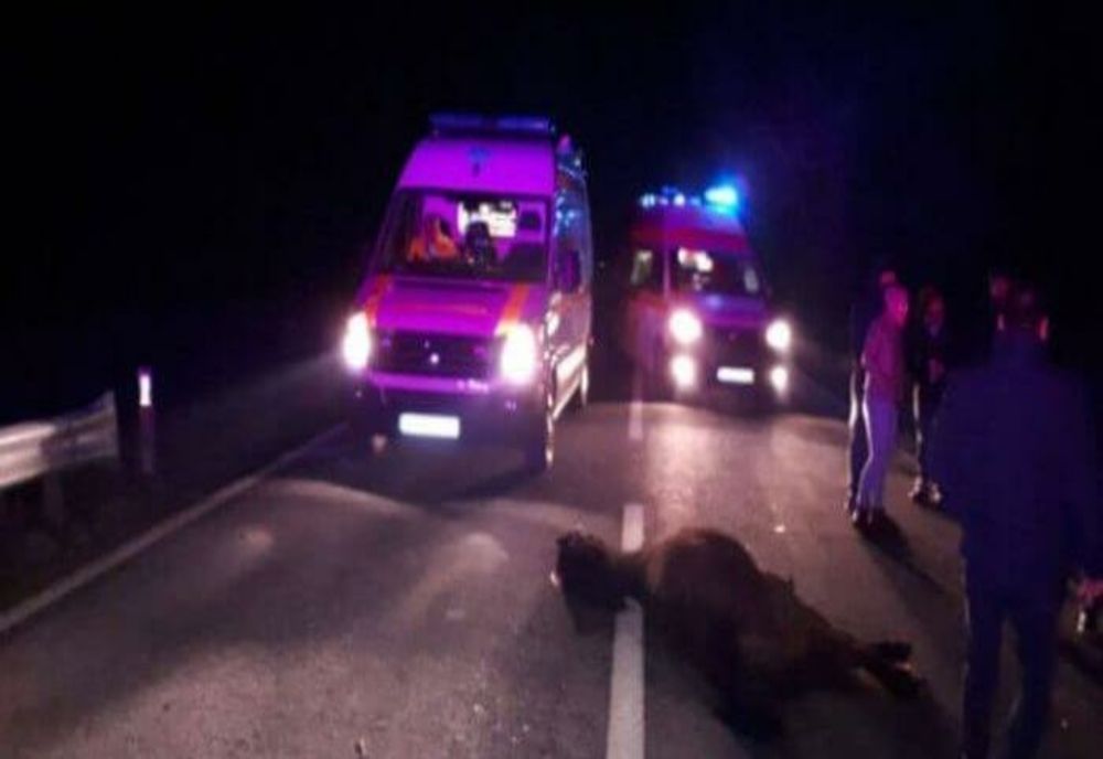 Prahova. Cai morți într-un accident produs azi-noapte