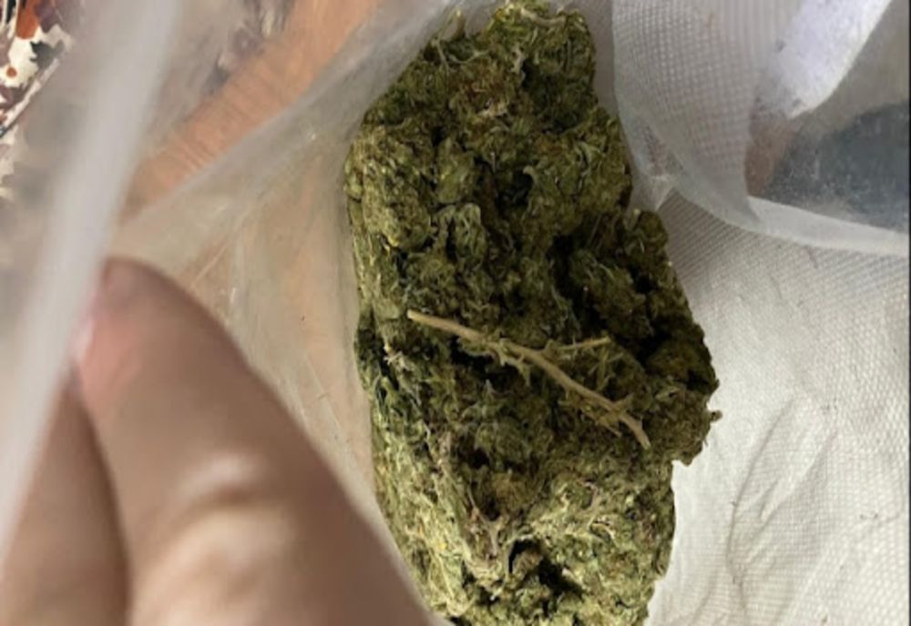 Proiect pilot pentru prevenirea consumului de droguri, în liceele din România