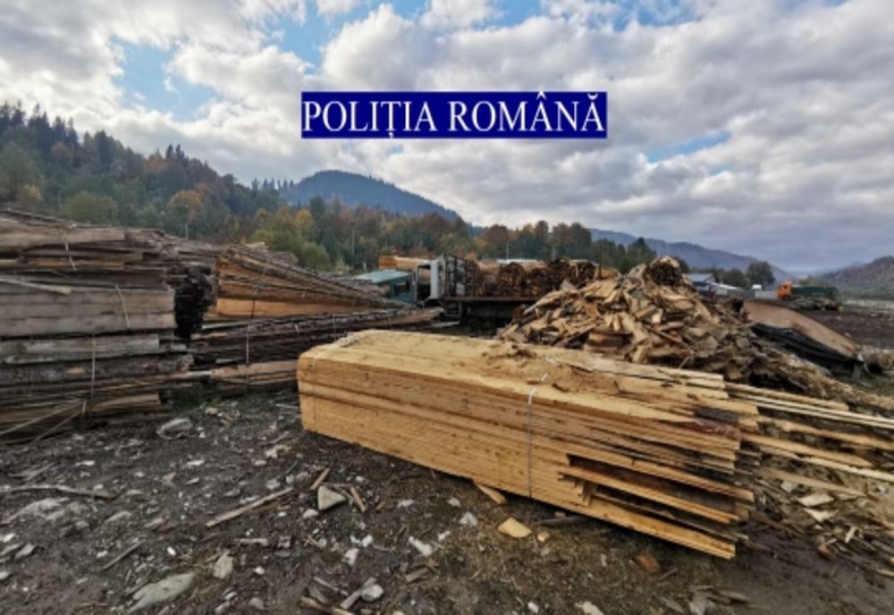 Acţiune comună a poliţiştilor din Dâmboviţa şi a Gărzii Forestiere Ploieşti pentru prevenirea şi combaterea tăierilor arborilor