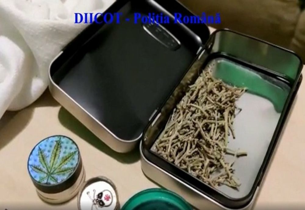 Percheziții la traficanți de droguri din Prahova. 40 de persoane, duse la  audieri