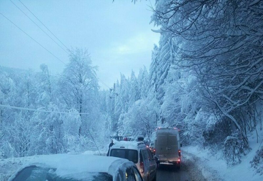 Prahova. Circulație îngreunată pe DN 1, din cauza unui copac căzut pe șosea