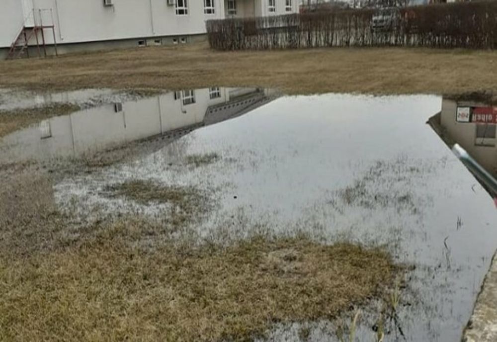 Prahova: Amenzi pentru Petrom și Conpet, în urma scurgerilor de produs petrolier din conducte