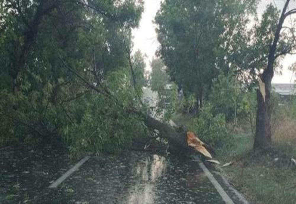 Intervenții ISU în Ploiești și alte localități din Prahova, după vijelie. Maşini avariate şi stâlpi doborâţi de vânt 