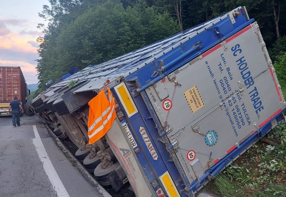 Un camion încărcat cu oi s-a răsturnat pe DN1A. Zeci de animale și-au pierdut viața