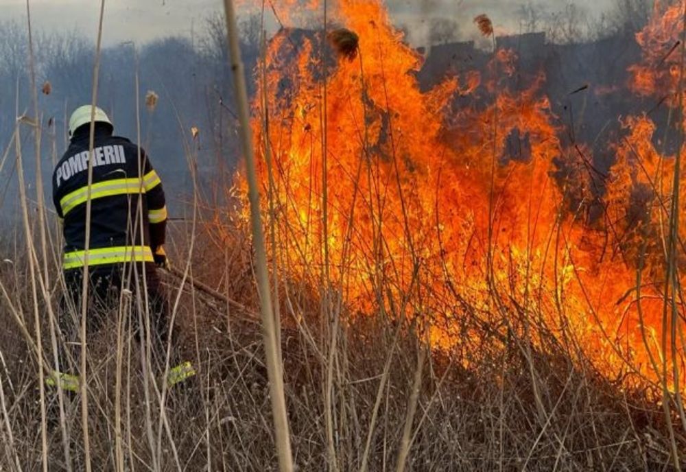Incendii de vegetație uscată la Drăgănești, Dumbrăvești și Iordăcheanu
