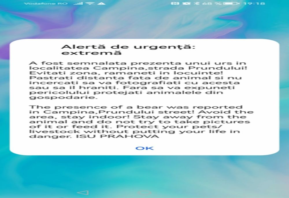 Mesaj RO-Alert emis în Câmpina. A fost semnalată prezența unui urs pe strada Prundului