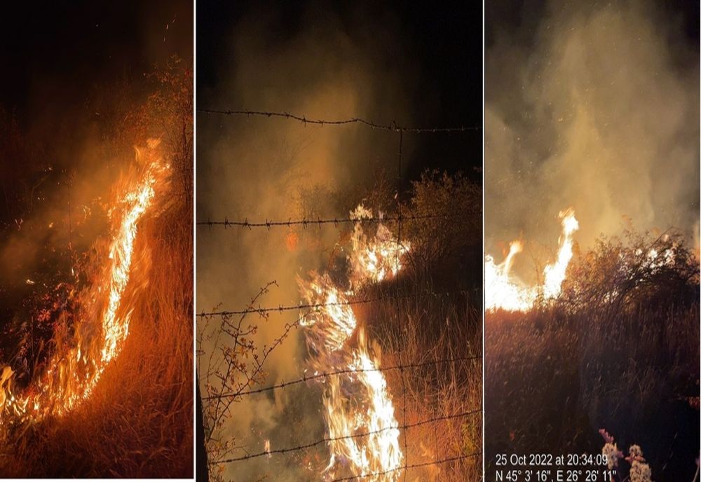 Prahova. 50 de hectare de vegetație ard la Tohani