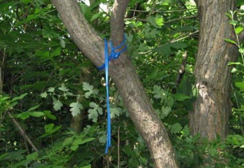 Prahova. Un tânăr de 31 de ani s-a spânzurat într-o pădure din Poiana Câmpina