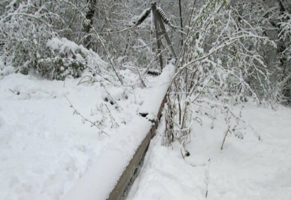 Prahova. Cod glben de precipitaţii însemnate cantitativ sub formă de ploaie, ninsoare, viscol şi intensificări ale vântului