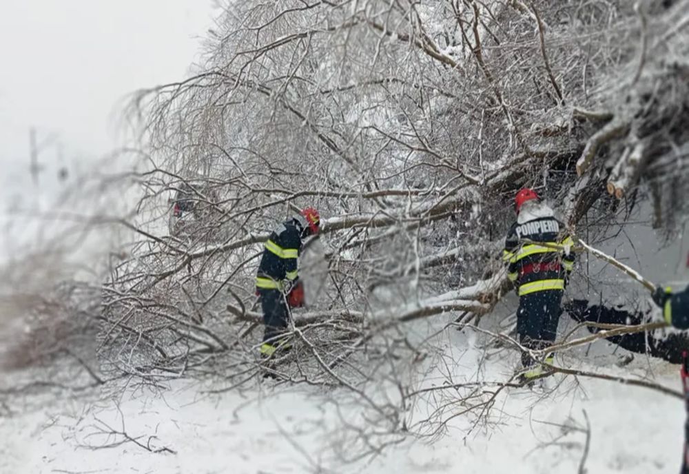 Sinaia a rămas fără curent electric, din cauza unui copac căzut pe o linie de înaltă tensiune. A fost afectat inclusiv spitalul, în care sunt internați 38 de pacienți