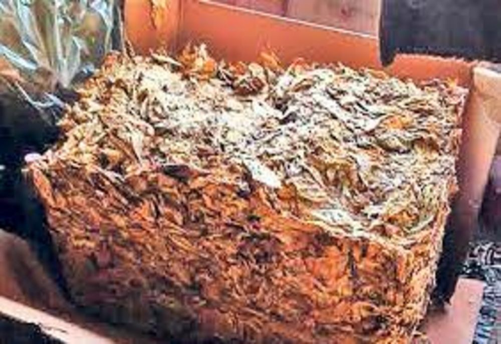 Nouă persoane reţinute şi peste o tonă de tutun confiscat în urma percheziţiilor efectuate într-un dosar privind infracţiuni economice