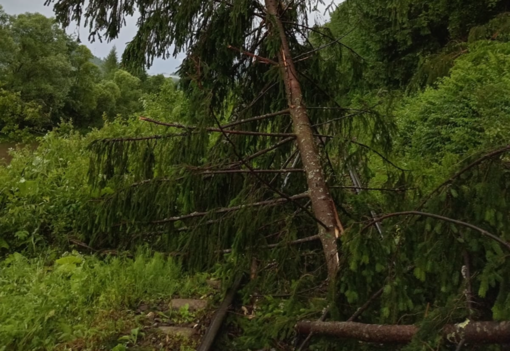 Trafic feroviar oprit temporar pe intervalul Toplița-Lunca Bradului