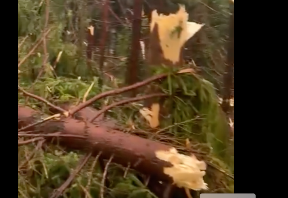 Furtună puternică în Maramureș: Copaci rupți, acoperișuri smulse și oameni răniți