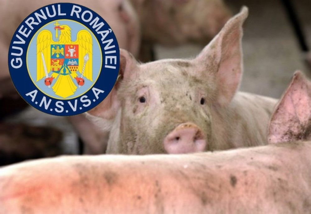 ANSVSA: ACȚIUNI DE CONTROL INTENSIFICATE ÎN PERIOADA SĂRBĂTORILOR DE IARNĂ