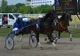 Duminică, pe Hipodromul Ploiești, curse de galop, ponei şi „Premiul Constantin şi Elena”!