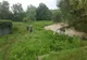 Ploaia torențială a creat probleme în mai multe localități din județul Prahova | VIDEO