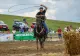 Premiul Cailor de 4 ani şi demonstraţie de dresaj cu Denis Ştefan, duminică, pe Hipodromul Ploieşti!
