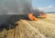 Șapte localități din Prahova afectate de incendii de vegetație