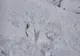 Risc însemnat de producere a avalanşelor în masivele Bucegi și Făgăraş