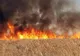 Incendiile de vegetație de la Boldești Scăieni ameniță un depozit de butelii, locuințe și fabrica de geamuri