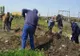INCREDIBIL! Opt nou-născuți morți la Maternitatea Ploiești, îngropați după 12 ani | FOTO