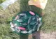 VIDEO Percheziții de amploare în România, inclusiv în Prahova. Peste 30 de tone de pește impropriu consumului confiscat!