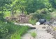 VIDEO/ FOTO Peste 400 de pompieri îl caută pe Iacov, băiețelul luat de viitură pe 31 mai, la Sângeru