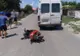 Accident la Poienarii Burchii. Doi copii și un adult au ajuns la spital!