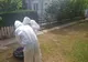 Autoritățile, din nou în alertă! Un nou focar de pestă confirmat în Prahova