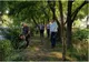 Acțiunea de ecologizare a albiei pârâului Dâmbu, sub supravegherea viceprimarului Ganea