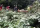 Turiști din Bacău blocați în Masivul Caraiman