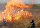 Incendiu de vegetație uscată la Corlătești. Un bărbat a fost rănit