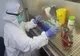 20 de persoane din Prahova s-au vindecat de coronavirus