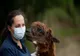  Lamele și alpacalele ne-ar putea salva de COVID-19. Cum reacționează anticorpii acestor animale în contact cu coronavirusul 