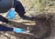 Asanare muniție în Câmpina. Un localnic a găsut 12 cartuşe în grădină