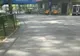 Intrare gratuită pentru copii,  la Grădina Zoologică de la Bucov