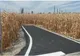 În Prahova se află cel mai scurt drum asfaltat din România. Se opreşte în mijlocul câmpului, în lanul de porumb 