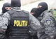 Grupare de falsificatori de permise auto, destructurată de polițiști. Percheziții în 19 județe și în București