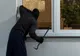 Peste 2.300 de furturi sesizate la IPJ Prahova în primele nouă luni