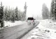 Cod galben de ninsori în zona montană a județului Prahova