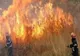 Incendiu violent de vegetație uscată, în Prahova. 70 de hectare afectate