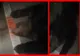 Urs mort după ce a fost lovit de o mașină