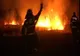 Incendiu de vegetație violent, la marginea Ploieștiului. Ard 20 de hectare
