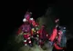 Semnal de alarmă al salvamontiştilor din Prahova după ce o tânără şi-a pierdut viaţa în Bucegi