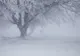 Prognoza meteo actualizată: Cod portocaliu de vânt și ninsori