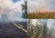 Incendiu de vegetație la Podenii Noi: 30 de hectare afectate. Pompierii au intervenit în Valea Dulce