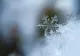 Vortexul polar ar putea suferi o perturbare majoră în noiembrie