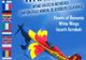 Miting aviatic la Strejnic! Închiderea Campionatului Mondial de Acrobatie cu Avionul