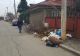 Conducerea Rosal: Minciunile primarului municipiului Ploiești nu rezolvă criza gunoiului aruncat pe străzile din oraș